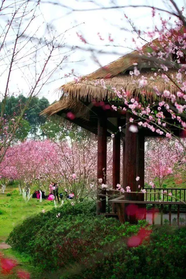2024年铁岭市第一期“铁岭振兴 我要先行——半月谈·半日谈”座谈会召开