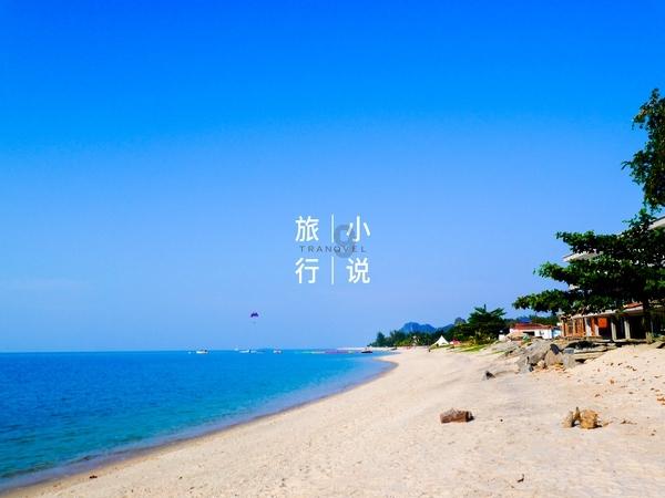 日常实用性测试横评:高关注度紧凑型车篇
